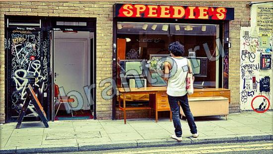 Где же кот игра ответы Уровень 6733