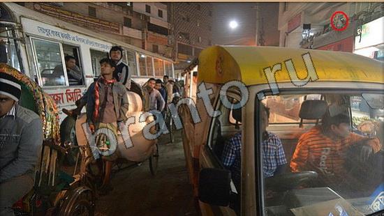 Где же кот прохождение игры Уровень 6742