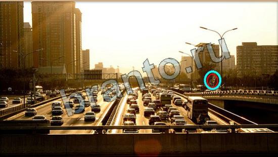 ответы Где же кот Уровень 6745