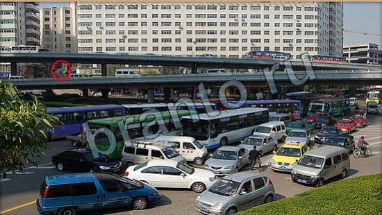 ответы на игру Где же кот в скриншотах Уровень 6752