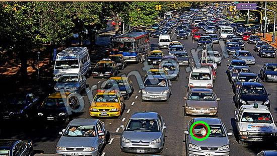 ответы на игру Где же кот Уровень 6754