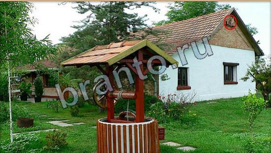 Решения на игру Где же кот Уровень 6883