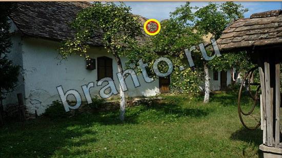 ответы к игре Где же кот Уровень 6885