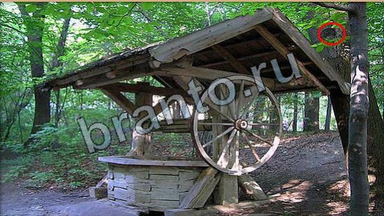 ответы на игру в одноклассниках Где же кот Уровень 6886