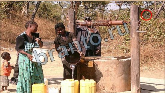 Где же кот? ответы Уровень 6888