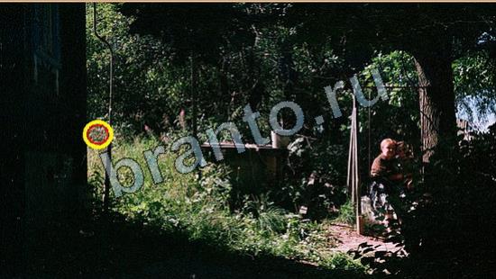 Где же кот? подсказки Уровень 6889