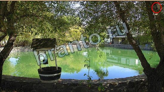 Где же кот? помощь Уровень 6890