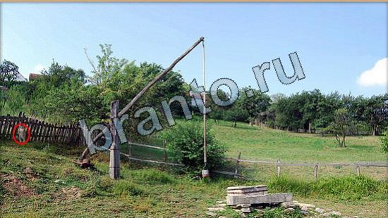 Где же кот? решения Уровень 6892