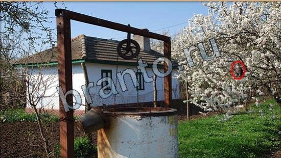 Где же кот ответы в картинках Уровень 6896