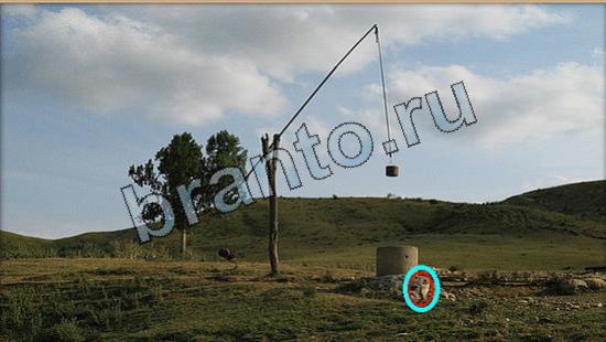 Игра Где же кот ответы Уровень 6897