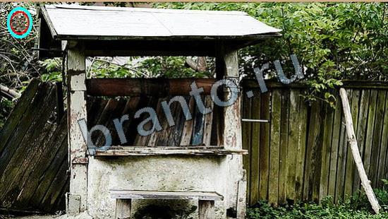 Игра Где же кот подсказки Уровень 6898