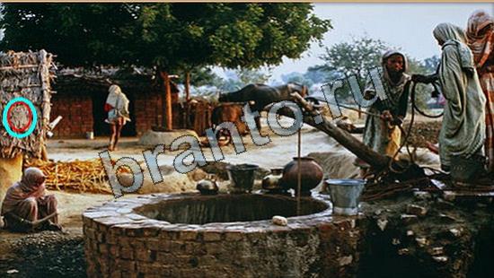 Игра Где же кот прохождение Уровень 6900