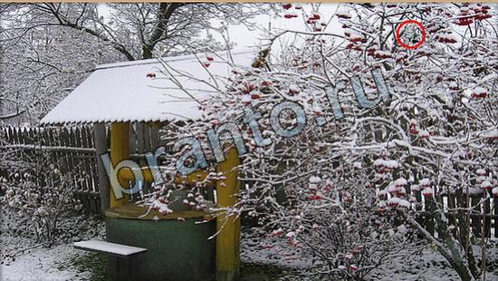 прохождение на игру Где же кот Уровень 6901