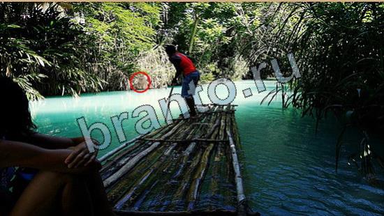 відповіді на игру Где же кот в одноклассниках Уровень 6903