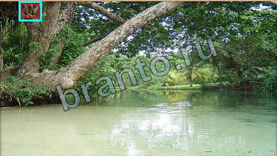 Прохождение игры Где же кот Уровень 6904