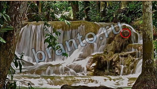 ответы Где же кот Уровень 6905