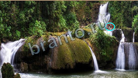 ответы Где же кот? в одноклассниках Уровень 6906