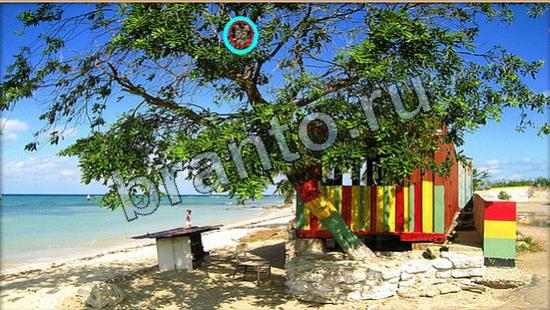 Где же кот игра ответы Уровень 6909