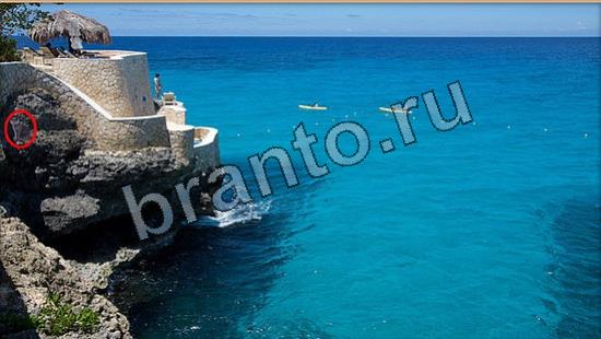 игра в одноклассниках Где же кот ответы Уровень 6910