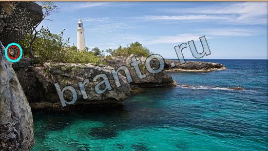 Где же кот ответы на новые задания Уровень 6913