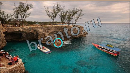 решения на игру Где же кот Уровень 6915