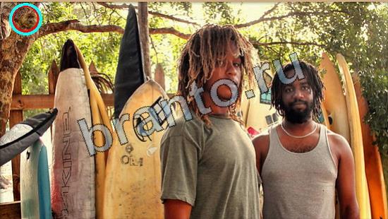 ответы в картинках на игру Где же кот Уровень 6917