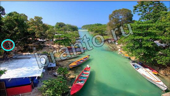 помощь на игру Где же кот Уровень 6918