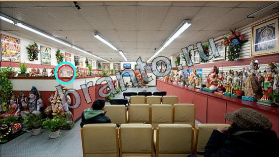 Где же кот игра ответы Уровень 6920