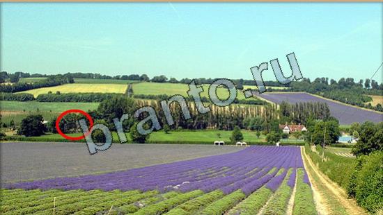 Где же кот? ответы Уровень 7008