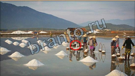 Где же кот? подсказки Уровень 7009