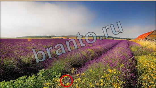 Где же кот? помощь Уровень 7010