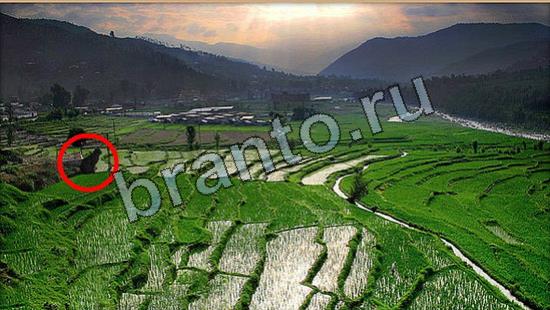 Где же кот игра ответы Уровень 7013