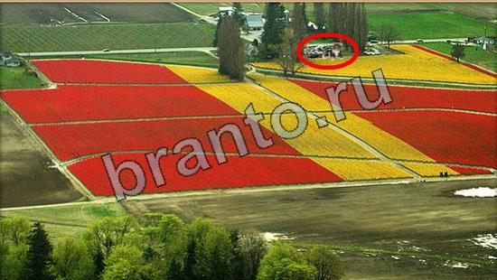 Где же кот игра подсказки Уровень 7014