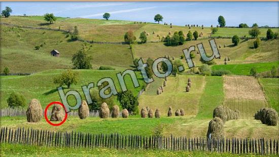 Где же кот ответы в картинках Уровень 7016