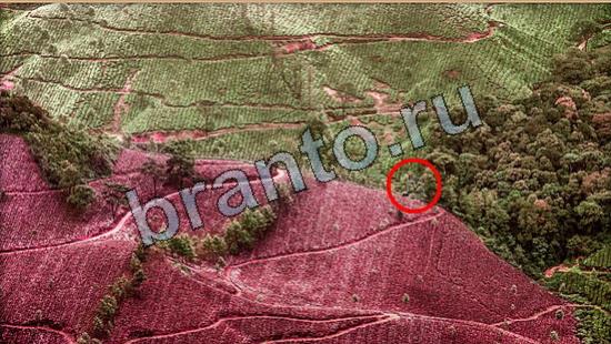 Игра Где же кот ответы Уровень 7017