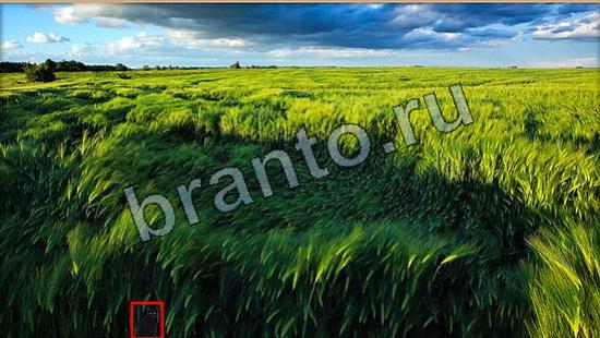 Игра Где же кот подсказки Уровень 7018