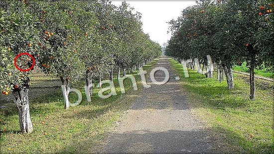 Где же кот игра ответы в одноклассниках Уровень 7047