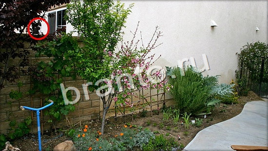 Где же кот? ответы Уровень 7048