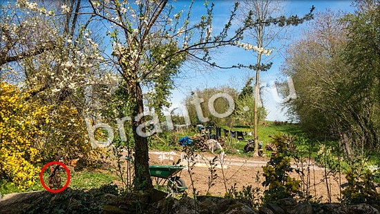 Где же кот? подсказки Уровень 7049