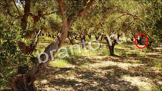 Где же кот ответы в картинках Уровень 7056