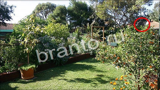 Игра Где же кот ответы Уровень 7057