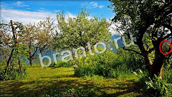 Игра Где же кот подсказки Уровень 7058