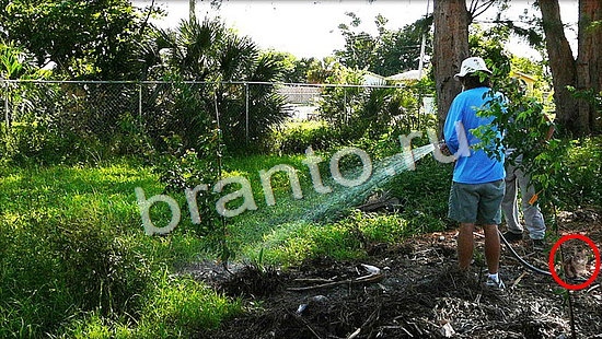 игра Где же кот помощь Уровень 7059