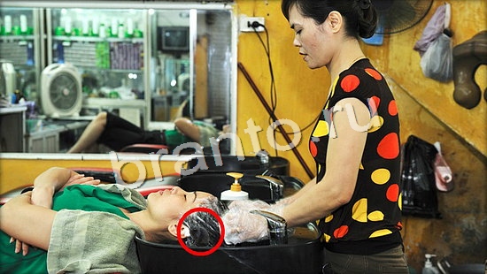 Прохождение игры Где же кот Уровень 7064