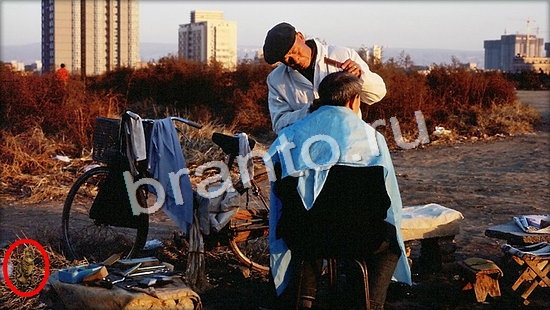 ответы Где же кот Уровень 7065