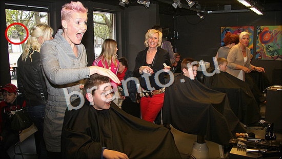 ответы для игры Где же кот Уровень 7067