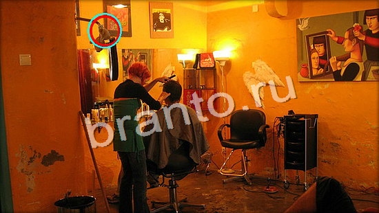 решения для игры Где же кот Уровень 7068