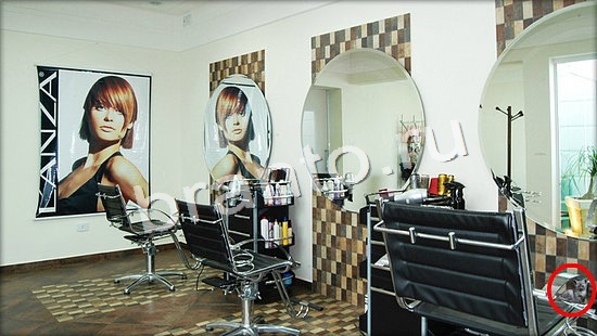 игра в одноклассниках Где же кот ответы Уровень 7070