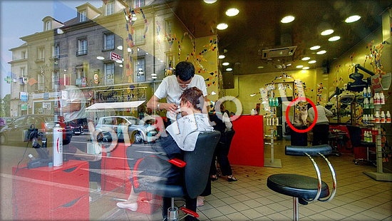 ответы на игру Где же кот в скриншотах Уровень 7072