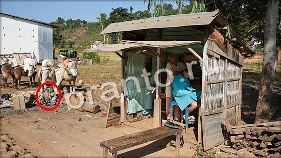 Где же кот ответы на новые задания Уровень 7073
